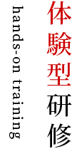 ゲーミングシュミレーション
