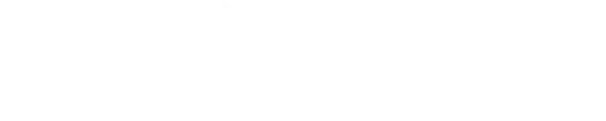 事業内容